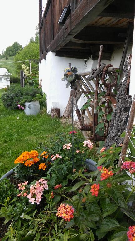 Penzion Drevenica Šumiac Exterior foto